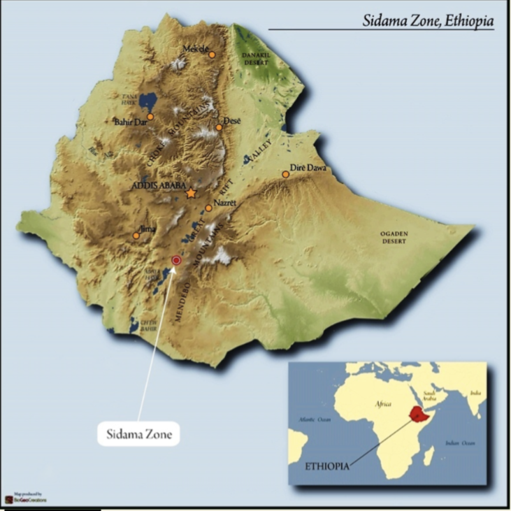 Ethiopia Yirga (Washed)