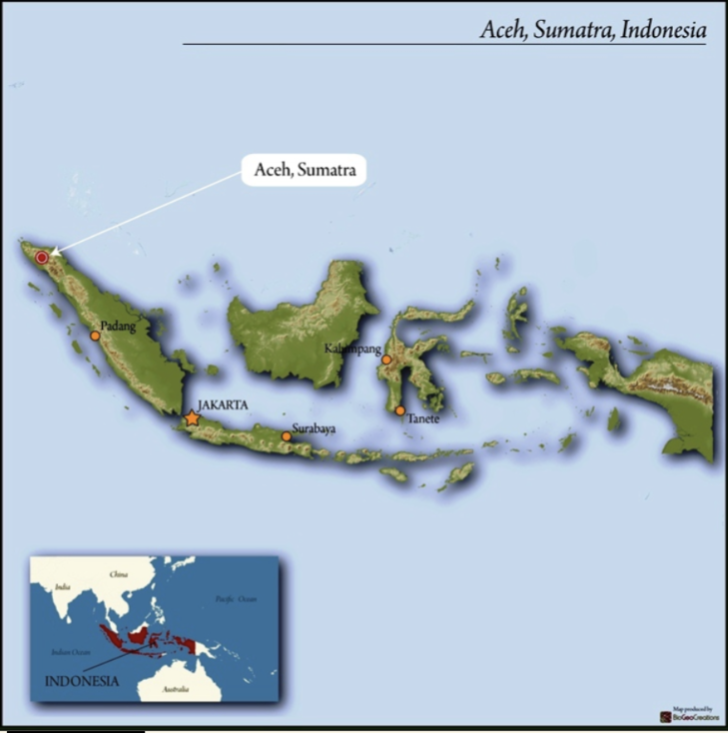 Indonesia Sumatra