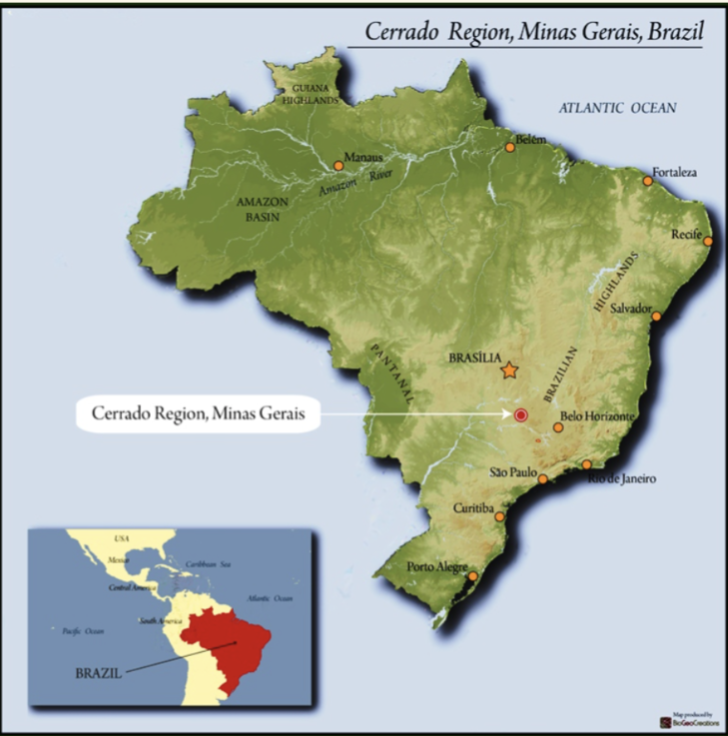 Brazil