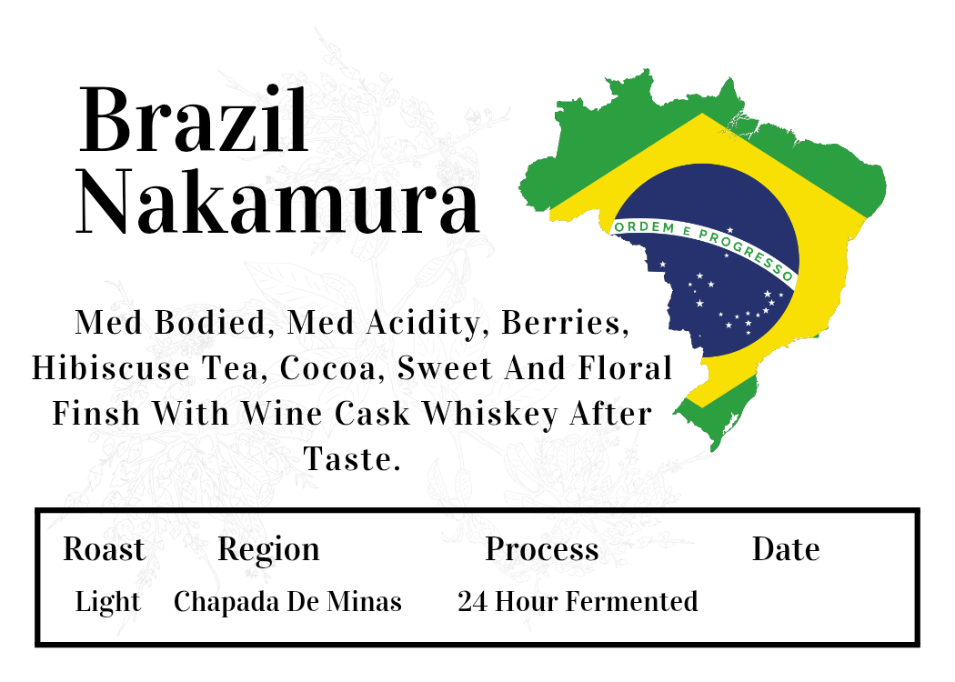 Brazil Nakamura
